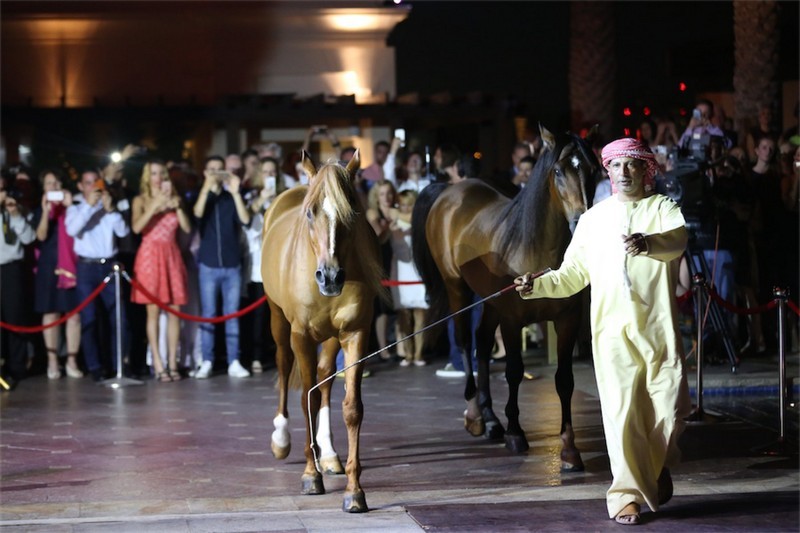 Salsa Night at Eastern Mangroves Hotel and Spa by Anantara